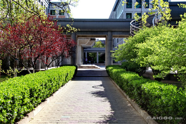 李克强:要坚持以经济建设为中心,加快发展新动能