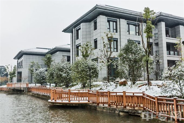 赋能创新，赢战2025丨紫荆花工业涂料事业群举行2025业务展望及领导力培训会