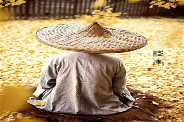 资深市场分析师：美元指数是个怪胎，“美元末日论”言过其实！