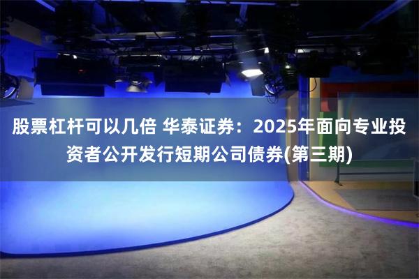 股票杠杆可以几倍 华泰证券：2025年面向专业投资者公开发行短期公司债券(第三期)