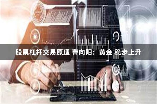 股票杠杆交易原理 曹向阳：黄金 稳步上升