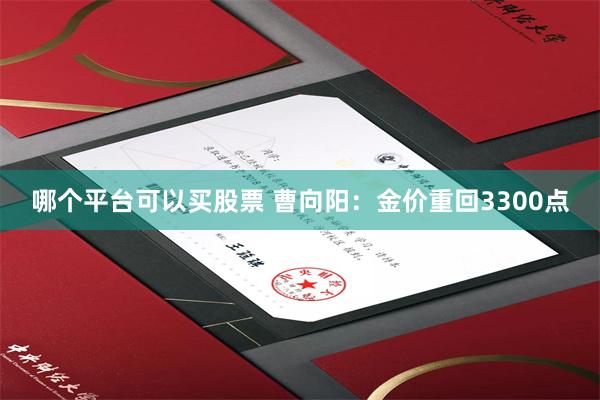 哪个平台可以买股票 曹向阳：金价重回3300点