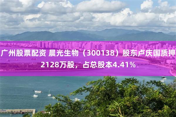 广州股票配资 晨光生物（300138）股东卢庆国质押2128万股，占总股本4.41%