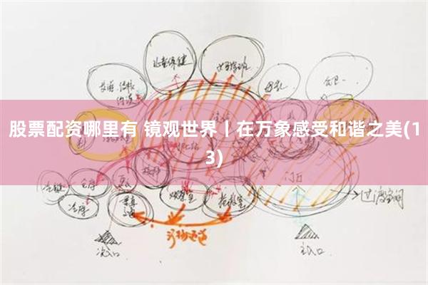 股票配资哪里有 镜观世界丨在万象感受和谐之美(13)
