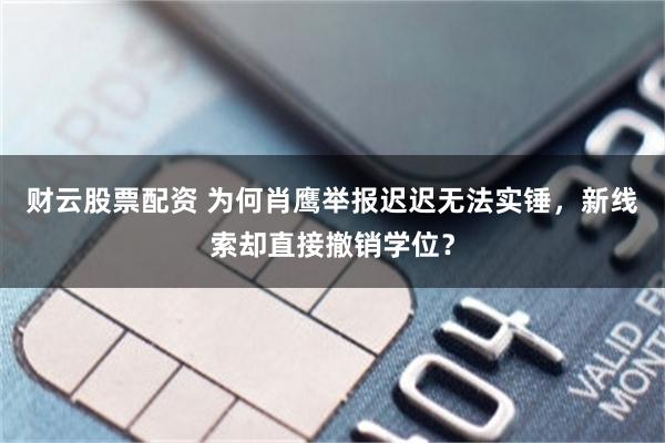 财云股票配资 为何肖鹰举报迟迟无法实锤,新线索却直接撤销学位?