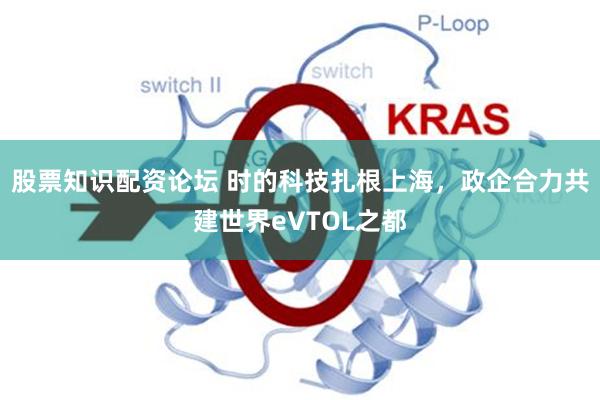 股票知识配资论坛 时的科技扎根上海，政企合力共建世界eVTOL之都