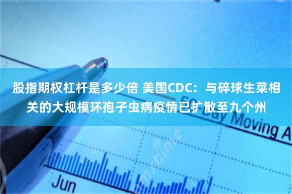 股指期权杠杆是多少倍 美国CDC：与碎球生菜相关的大规模环孢子虫病疫情已扩散至九个州