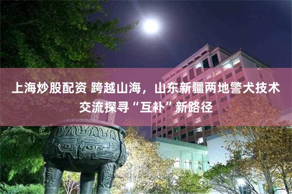 上海炒股配资 跨越山海，山东新疆两地警犬技术交流探寻“互补”新路径