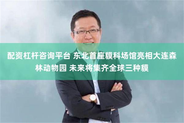 配资杠杆咨询平台 东北首座貘科场馆亮相大连森林动物园 未来将集齐全球三种貘